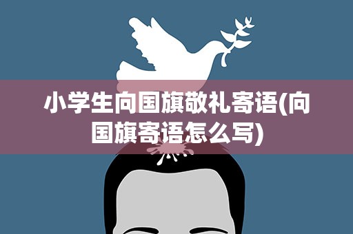 小学生向国旗敬礼寄语(向国旗寄语怎么写)