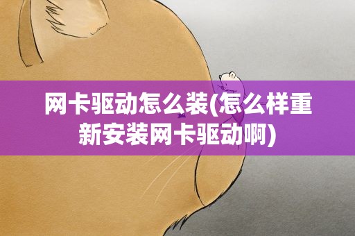 网卡驱动怎么装(怎么样重新安装网卡驱动啊)