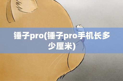 锤子pro(锤子pro手机长多少厘米)
