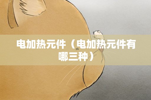 电加热元件（电加热元件有哪三种）