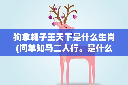 狗拿耗子王天下是什么生肖(问羊知马二人行。是什么生肖)