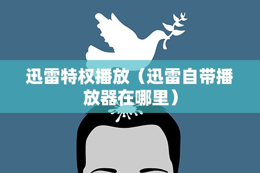 迅雷特权播放（迅雷自带播放器在哪里）