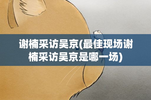 谢楠采访吴京(最佳现场谢楠采访吴京是哪一场)