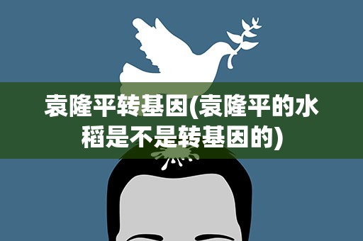 袁隆平转基因(袁隆平的水稻是不是转基因的)