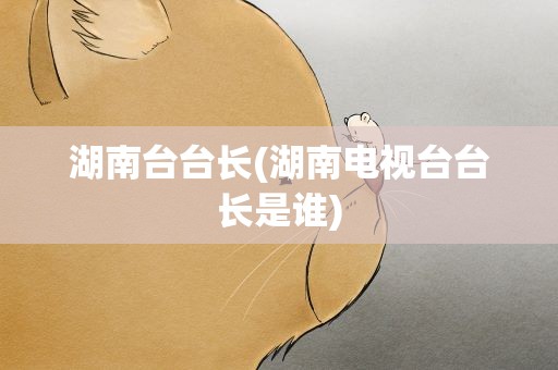 湖南台台长(湖南电视台台长是谁)