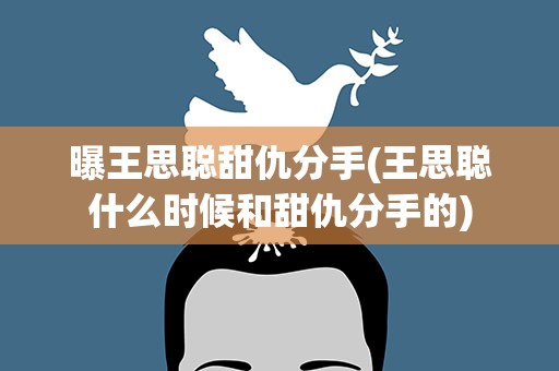 曝王思聪甜仇分手(王思聪什么时候和甜仇分手的)