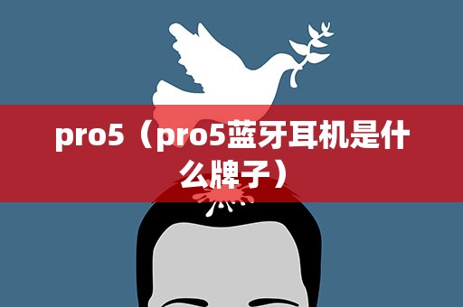 pro5（pro5蓝牙耳机是什么牌子）