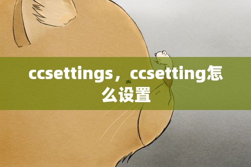 ccsettings，ccsetting怎么设置