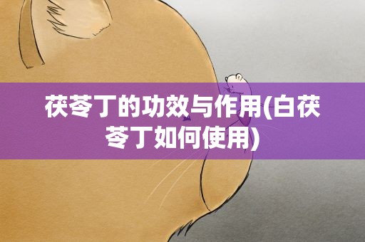 茯苓丁的功效与作用(白茯苓丁如何使用)