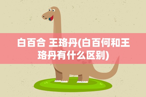 白百合 王珞丹(白百何和王珞丹有什么区别)