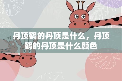 丹顶鹤的丹顶是什么，丹顶鹤的丹顶是什么颜色