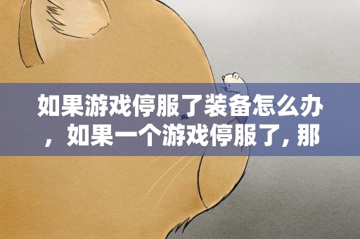 如果游戏停服了装备怎么办，如果一个游戏停服了, 那往里面砸的那么多钱怎么办