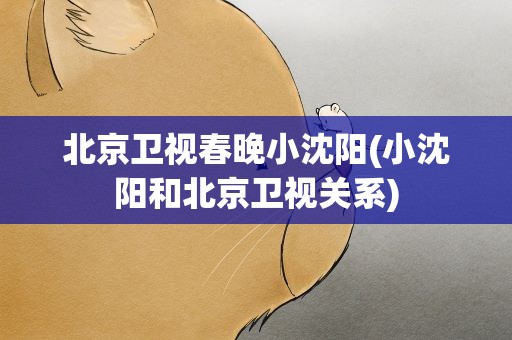 北京卫视春晚小沈阳(小沈阳和北京卫视关系)