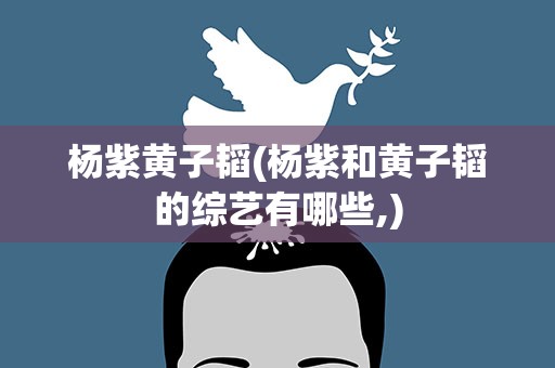 杨紫黄子韬(杨紫和黄子韬的综艺有哪些,)