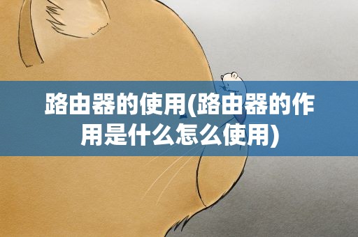 路由器的使用(路由器的作用是什么怎么使用)