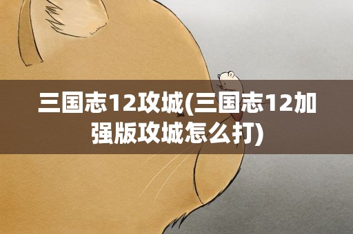 三国志12攻城(三国志12加强版攻城怎么打)