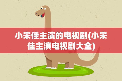 小宋佳主演的电视剧(小宋佳主演电视剧大全)