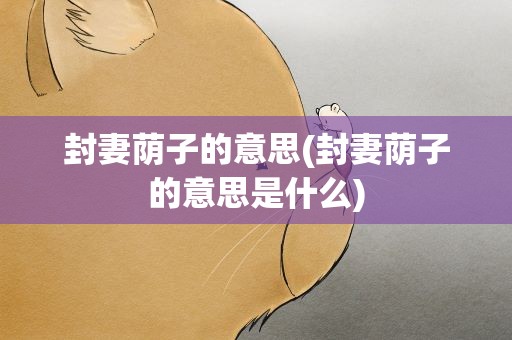 封妻荫子的意思(封妻荫子的意思是什么)