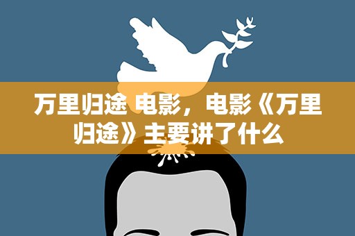万里归途 电影，电影《万里归途》主要讲了什么