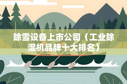 除雪设备上市公司（工业除湿机品牌十大排名）