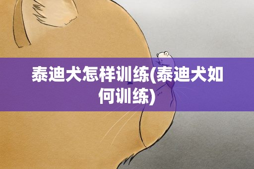 泰迪犬怎样训练(泰迪犬如何训练)