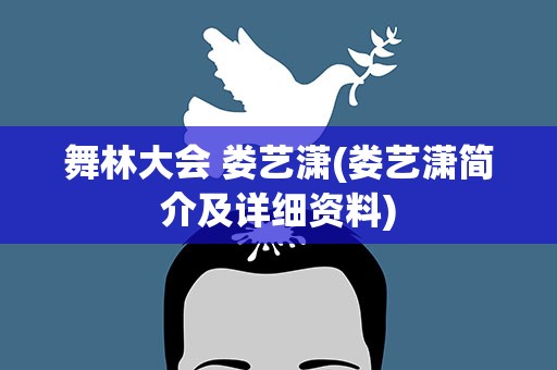 舞林大会 娄艺潇(娄艺潇简介及详细资料)