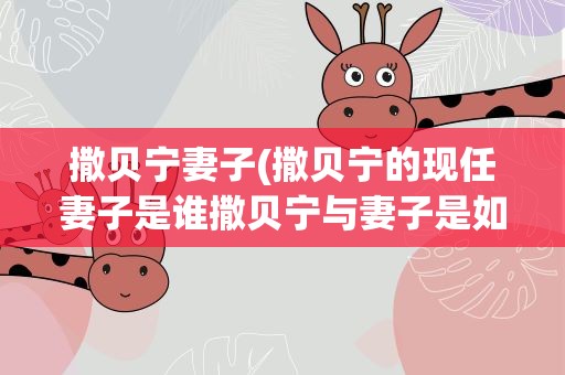 撒贝宁妻子(撒贝宁的现任妻子是谁撒贝宁与妻子是如何认识的)