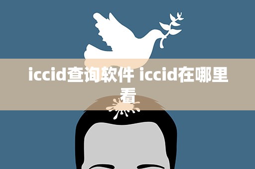 iccid查询软件 iccid在哪里看