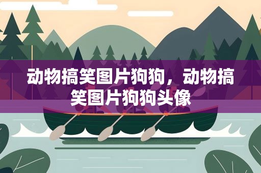 动物搞笑图片狗狗，动物搞笑图片狗狗头像