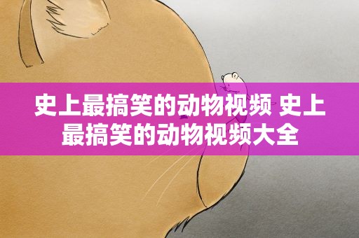史上最搞笑的动物视频 史上最搞笑的动物视频大全