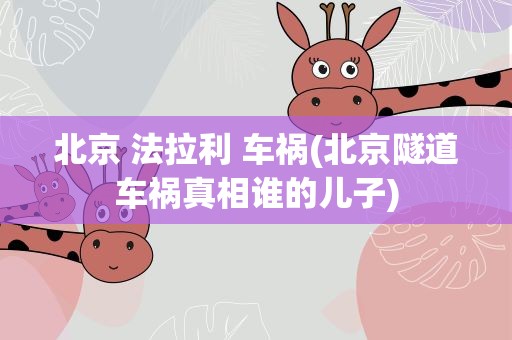 北京 法拉利 车祸(北京隧道车祸真相谁的儿子)