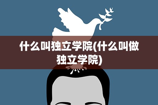 什么叫独立学院(什么叫做独立学院)