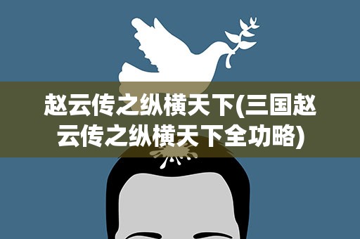 赵云传之纵横天下(三国赵云传之纵横天下全功略)