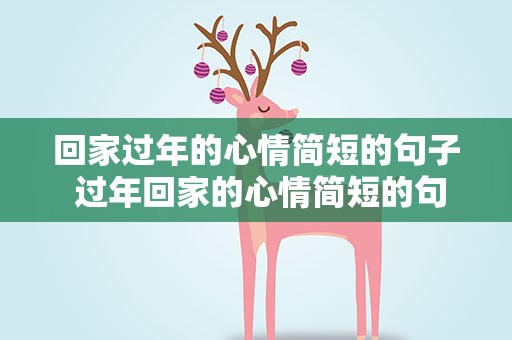 回家过年的心情简短的句子 过年回家的心情简短的句子收藏
