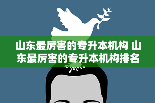 山东最厉害的专升本机构 山东最厉害的专升本机构排名