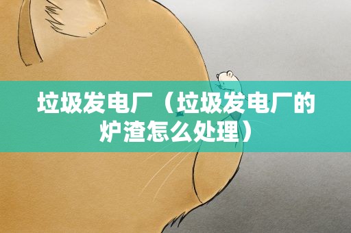 垃圾发电厂（垃圾发电厂的炉渣怎么处理）