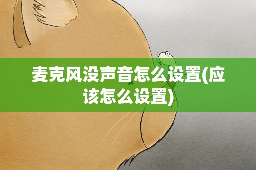 麦克风没声音怎么设置(应该怎么设置)