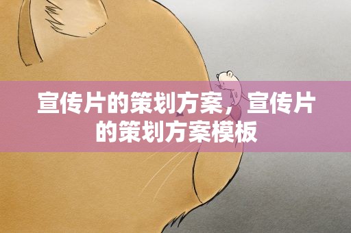 宣传片的策划方案，宣传片的策划方案模板