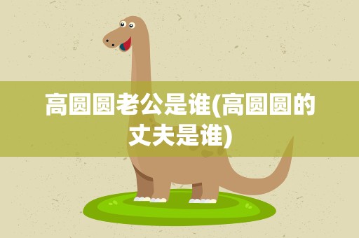 高圆圆老公是谁(高圆圆的丈夫是谁)