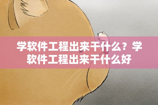学软件工程出来干什么？学软件工程出来干什么好