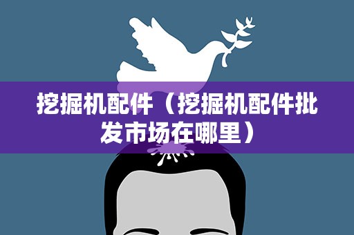 挖掘机配件（挖掘机配件批发市场在哪里）