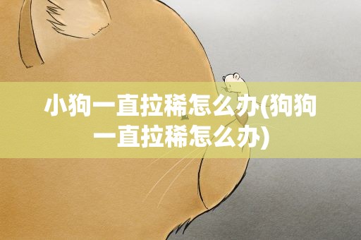 小狗一直拉稀怎么办(狗狗一直拉稀怎么办)
