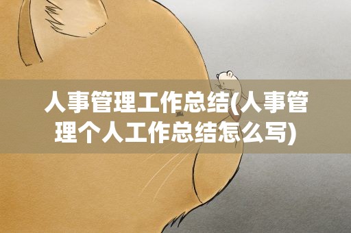 人事管理工作总结(人事管理个人工作总结怎么写)