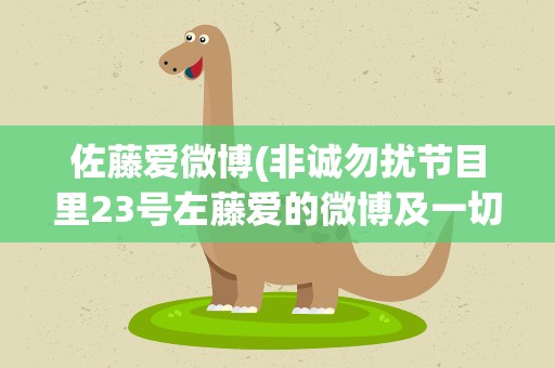 佐藤爱微博(非诚勿扰节目里23号左藤爱的微博及一切联系方式和资料)