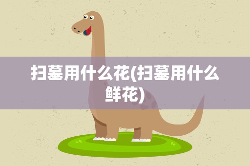 扫墓用什么花(扫墓用什么鲜花)