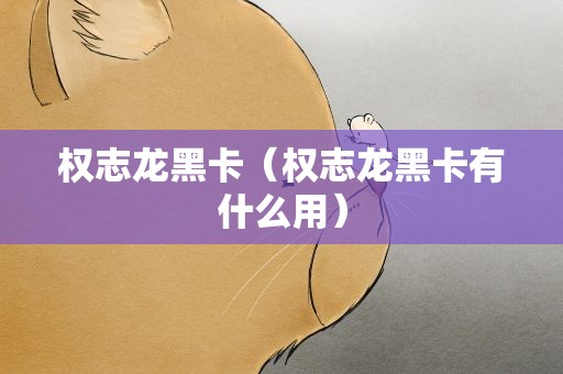 权志龙黑卡（权志龙黑卡有什么用）