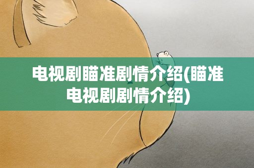 电视剧瞄准剧情介绍(瞄准电视剧剧情介绍)