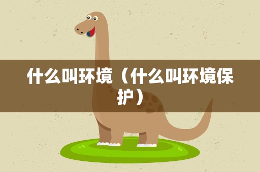 什么叫环境（什么叫环境保护）