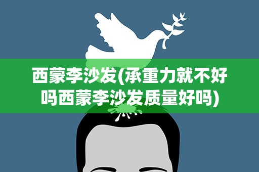 西蒙李沙发(承重力就不好吗西蒙李沙发质量好吗)