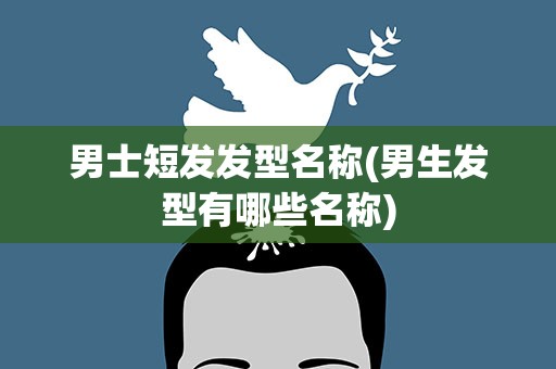 男士短发发型名称(男生发型有哪些名称)